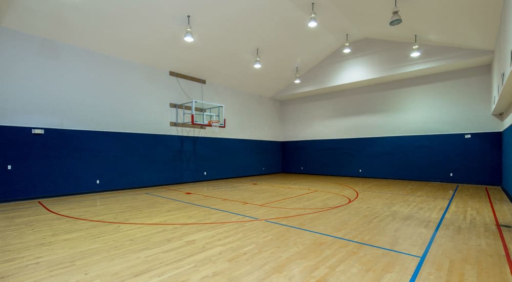 Regulation size basketball court at Veranda in Texas City, Texas