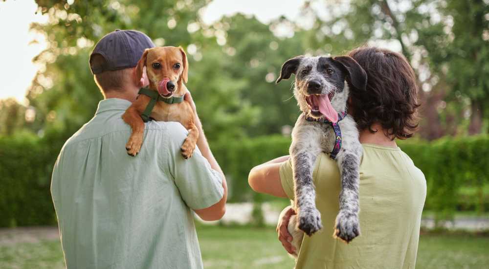 Residents with their pets in the park near InterPointe Apartments in Billings, Montana