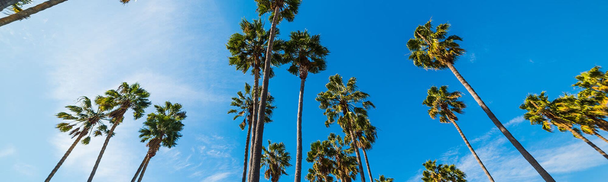 Location | Horizon in El Cajon, California