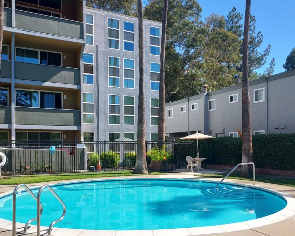 Pool at Lakeshore Apartments in Concord, California