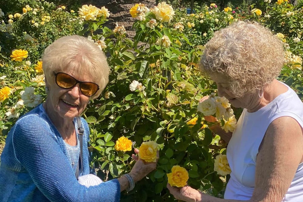 Outing to flower garden at Lodi Commons Senior Living in Lodi, California