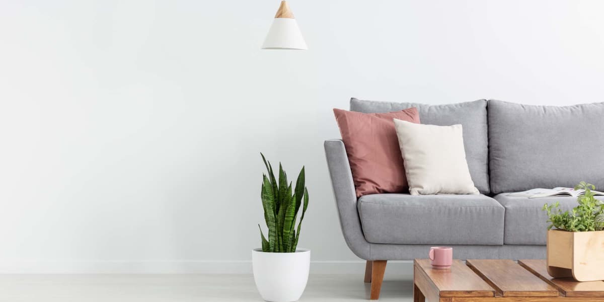 Living room at The Montclair in Houston, Texas