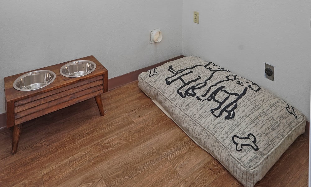 Dog bed and bowl at Shadow Ridge Apartments in El Paso, Texas