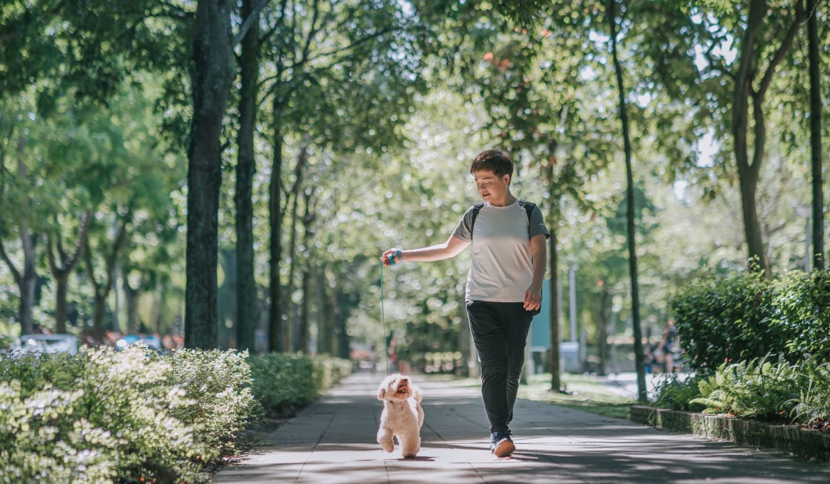 Happy dog on a walk outside at Claremont Towers in Hillsborough, New Jersey