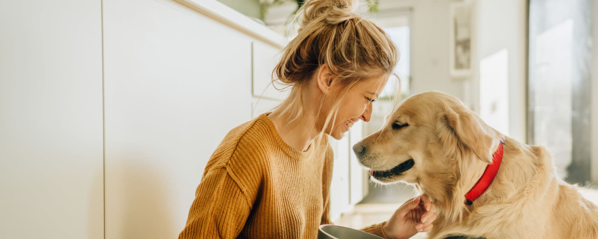 Pet-friendly apartments at Heritage Plaza in San Antonio, Texas