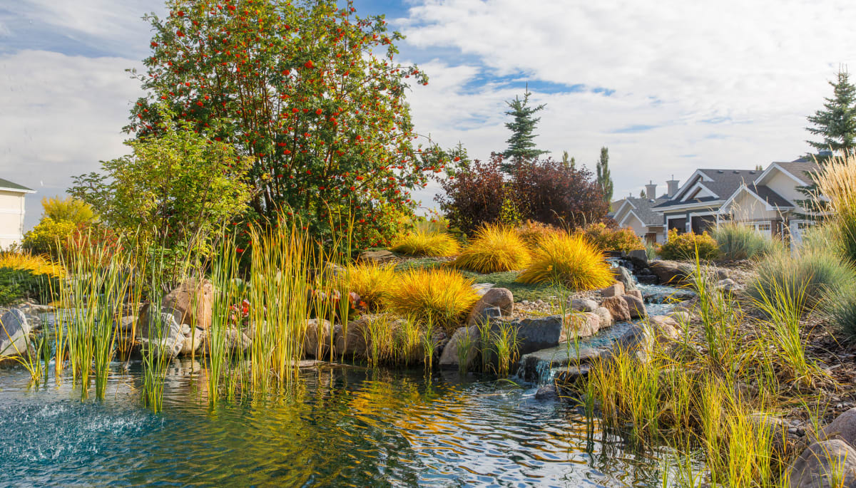 Pond at Touchmark at Wedgewood in Edmonton, Alberta
