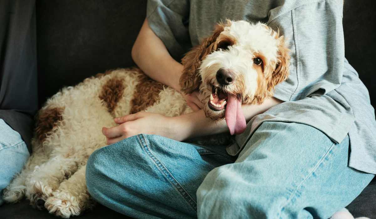 A resident petting a dog at Marea in Dana Point, California