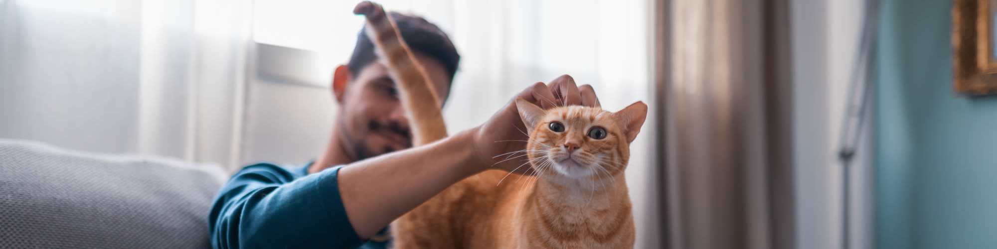 Pet Friendly | Kimberly Pointe in Houston, Texas