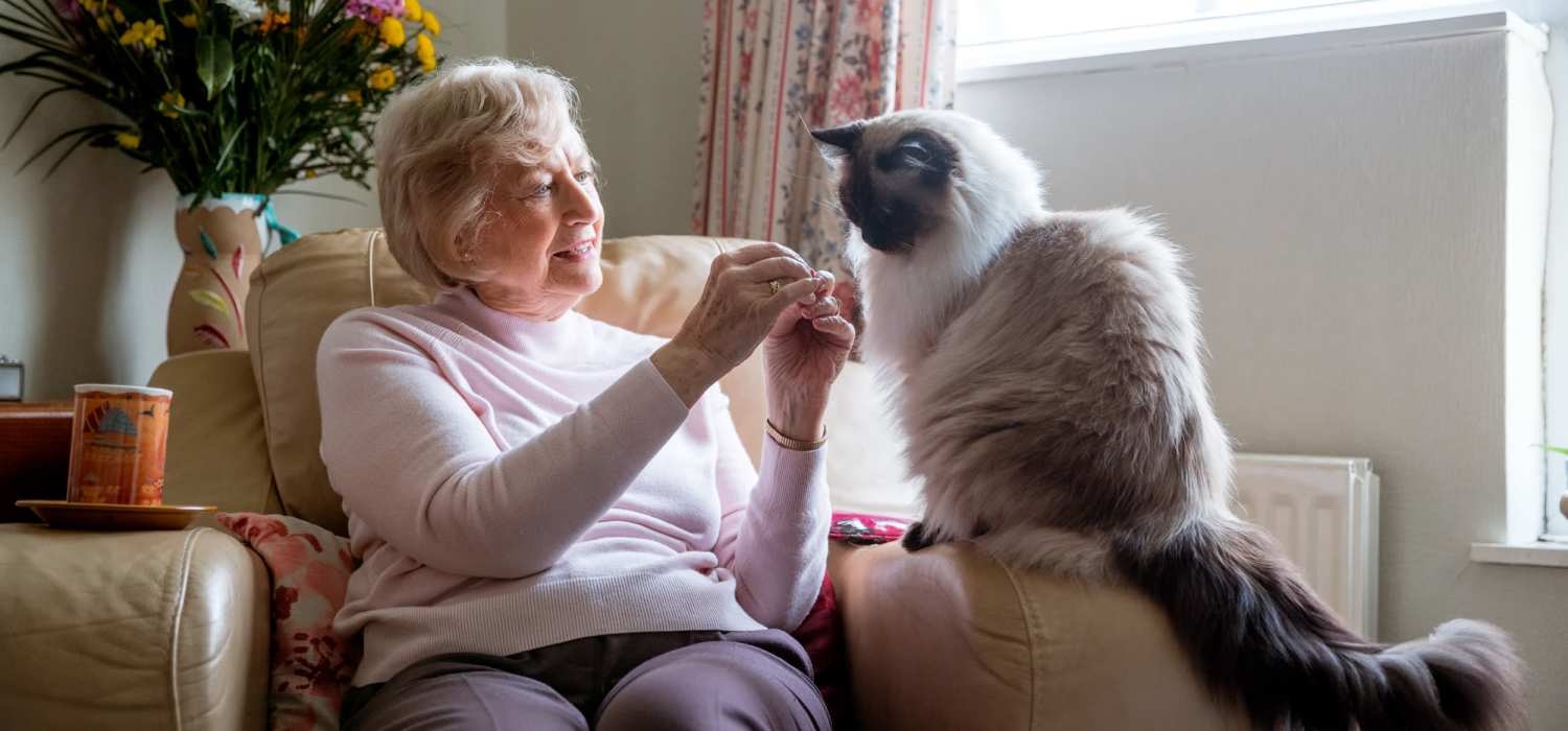 Pet-friendly community at Willow Creek Apartments in Escanaba, Michigan