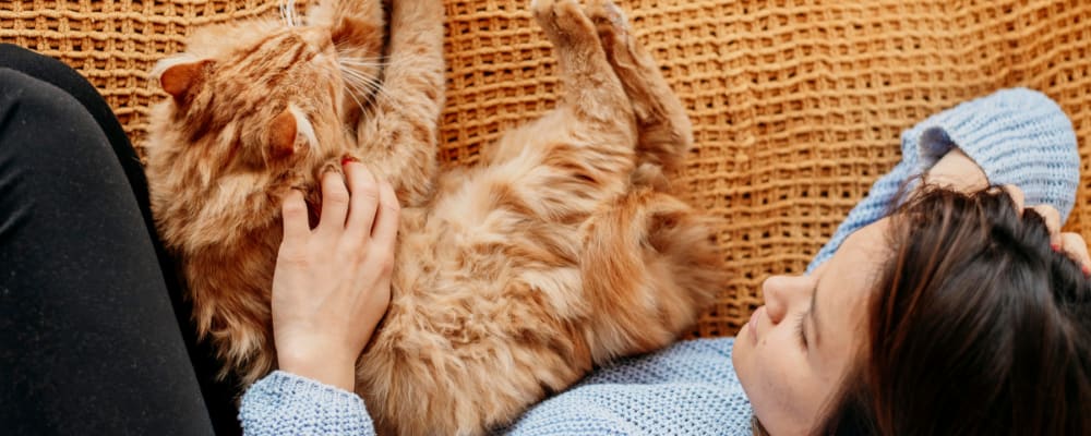 Woman laying with her cute cat on the couch at The Main in Evanston, Illinois