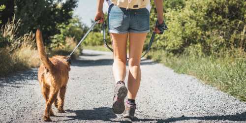 Resident taking her dog for a walk through a verdant park near Comanche Hills in La Mesa, California