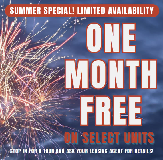 The Palm On SPID Summer Special One Month Free on Select Apartment Homes! Limited Availability - Act Fast! **Discount applies after first full months rent.