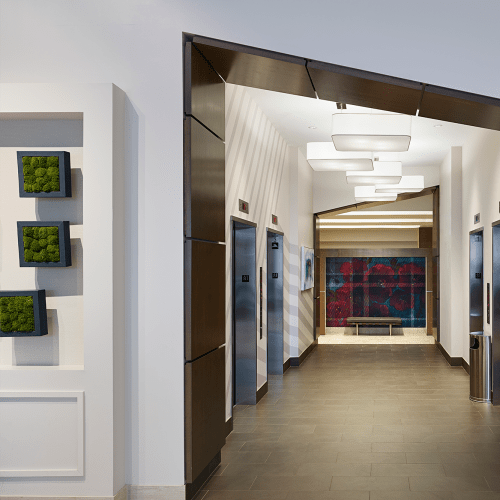 Hallway at Solaire 8250 Georgia in Silver Spring, Maryland