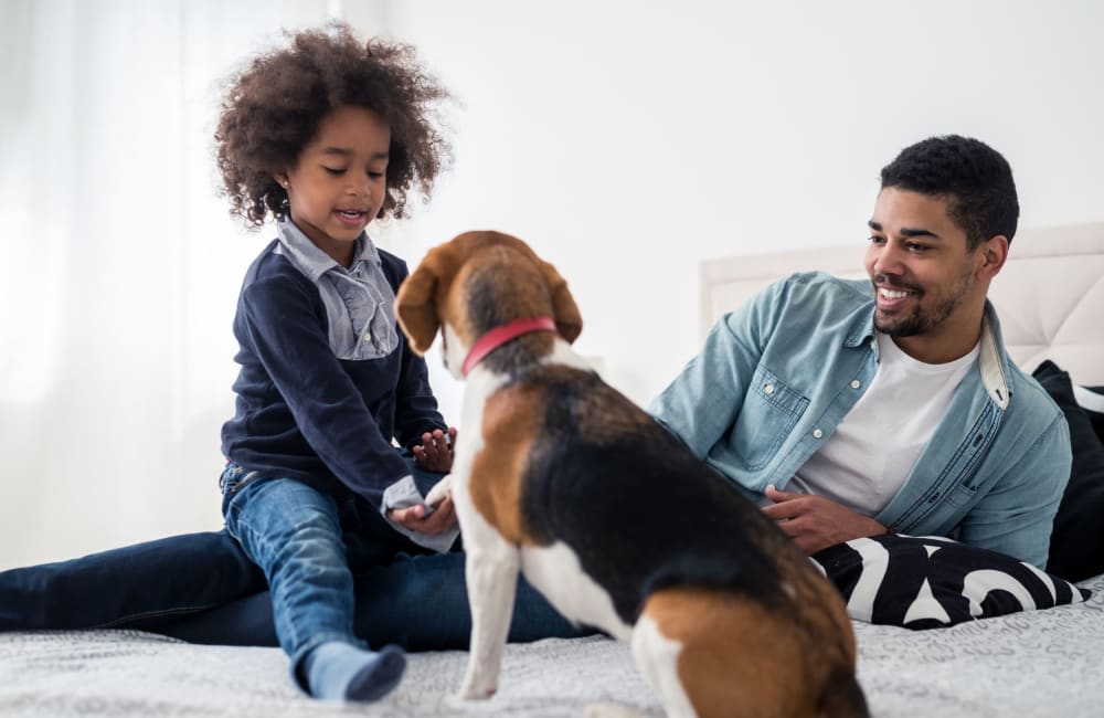 Family and their dog enjoying their new home at Clemmons Station Apartment Homes in Clemmons, North Carolina