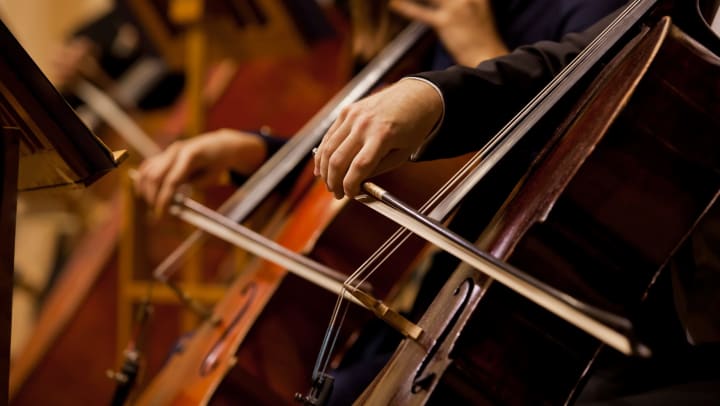 Hands of the person playing the cello
