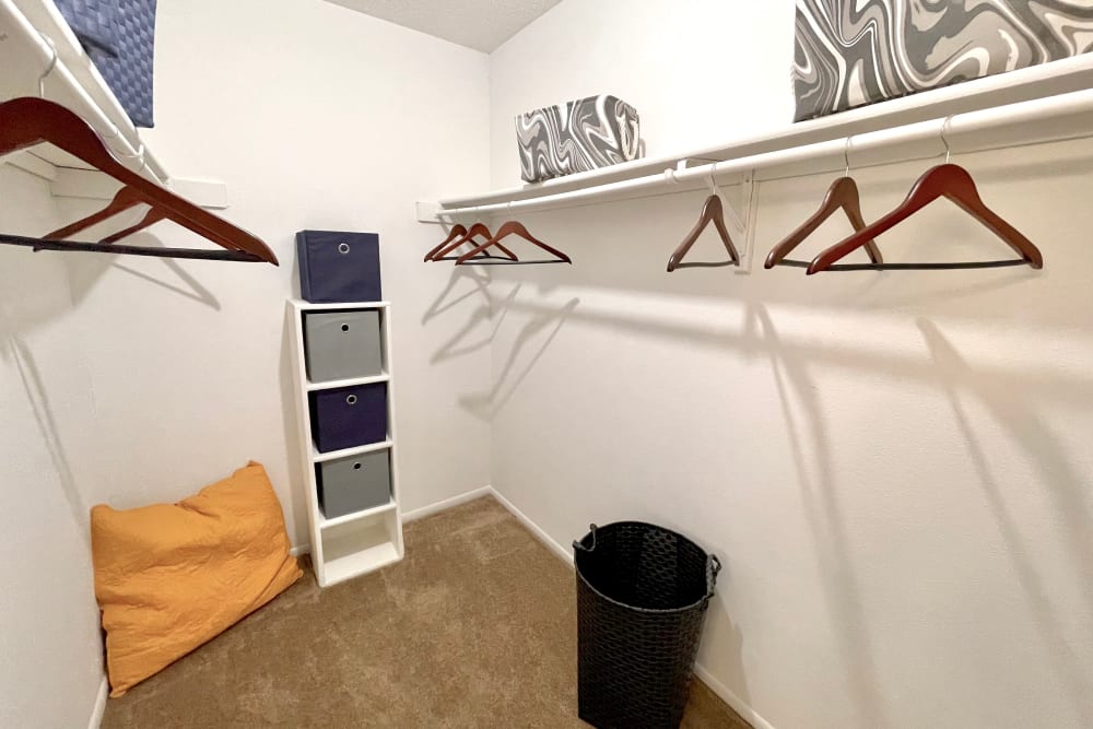 Enjoy apartments with a walk-in closet at The Abbey at Medical Center in San Antonio, Texas