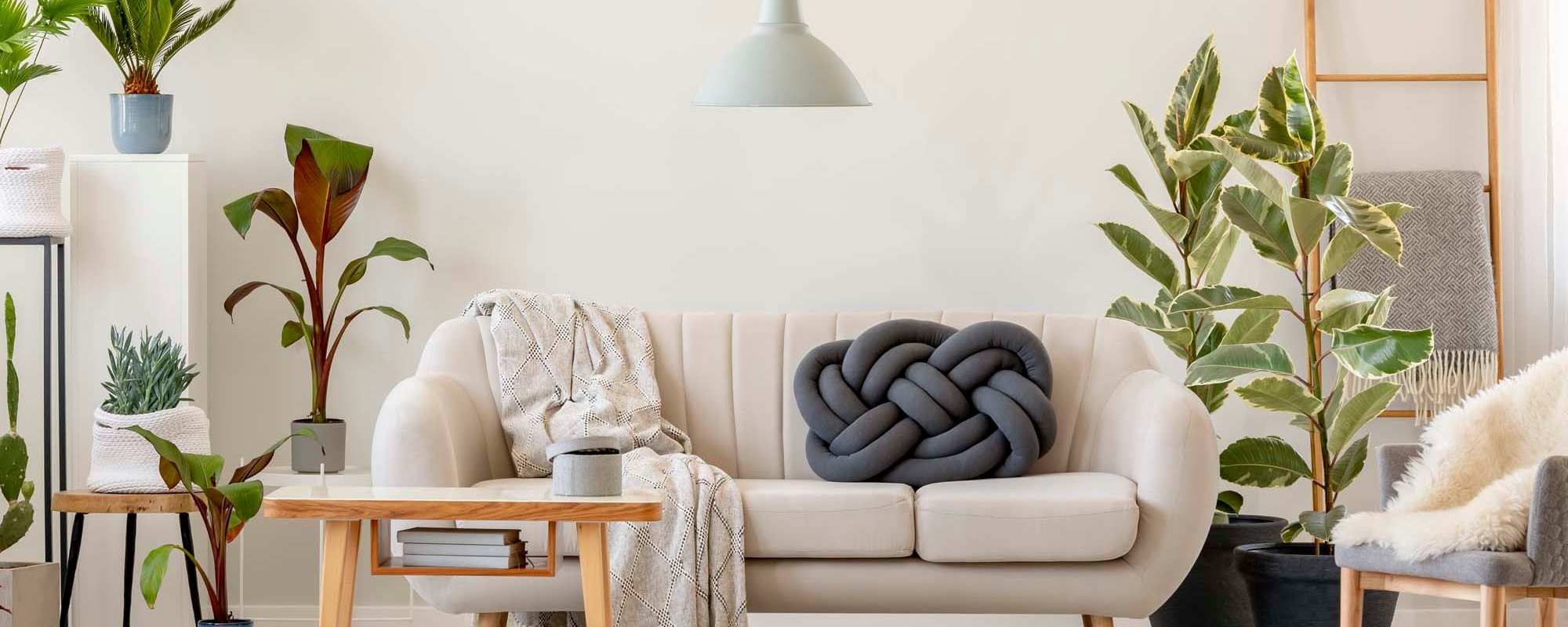 Apartments at Olive Tree Terrace in West Covina, California 