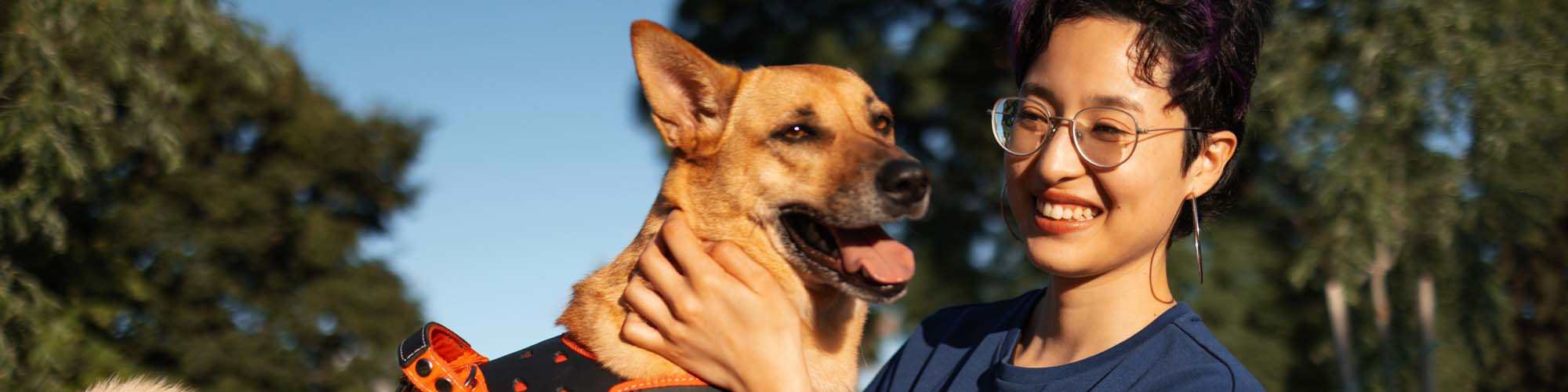 Pet Friendly | Villa De Oro in San Antonio, Texas 