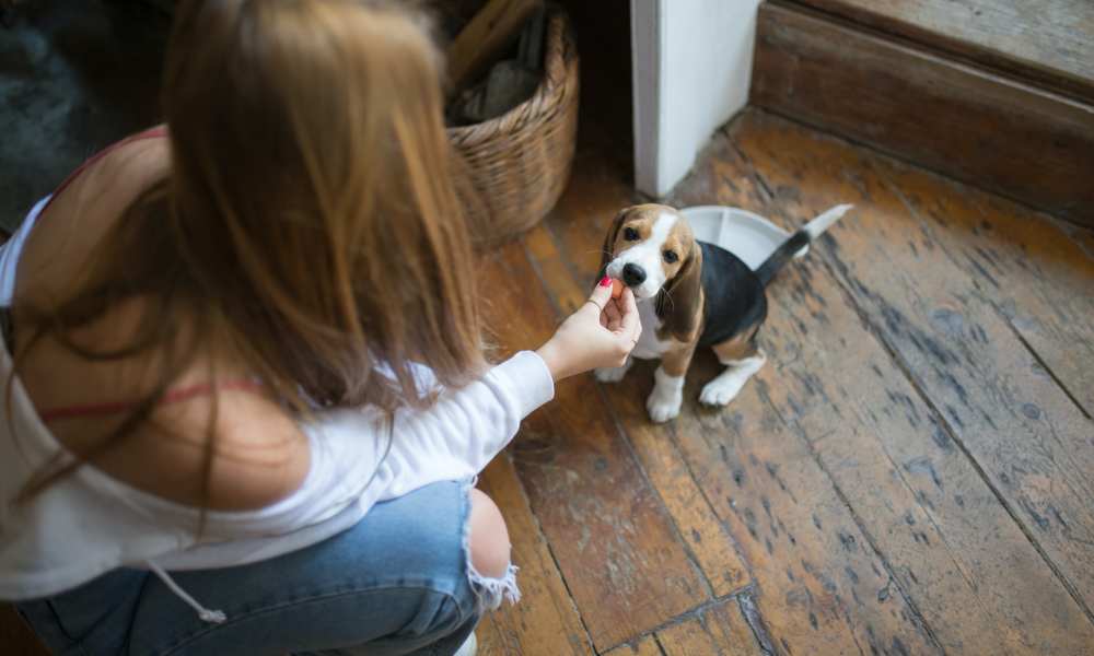 Resident and her pet puppy at Home Place Apartments in East Ridge, Tennessee