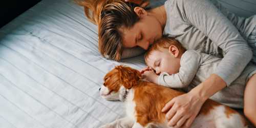 Mother, baby, and dog napping in a pet-friendly home at Grove Pointe in Ruskin, Florida