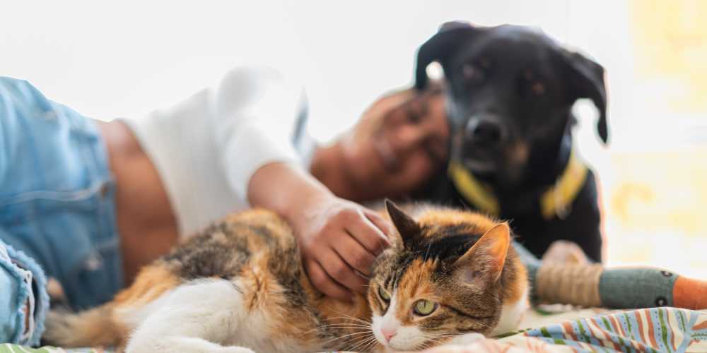 Resident playing with her pets in her pet-friendly apartment at Grande Pointe in Orlando, Florida