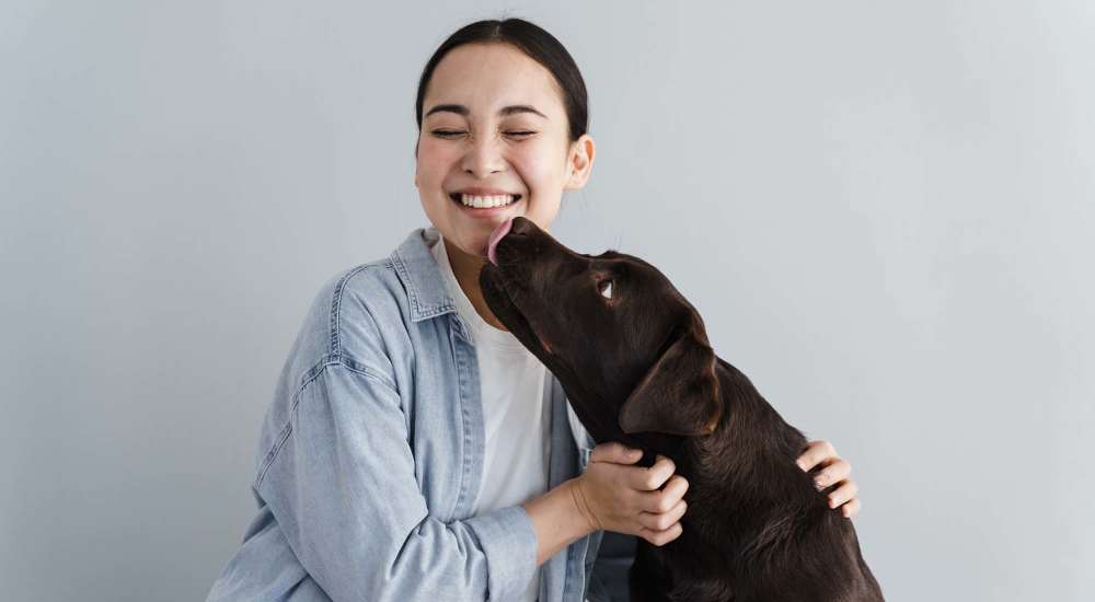 Dog relaxing at Lofts at Inman Mills in Inman, South Carolina 