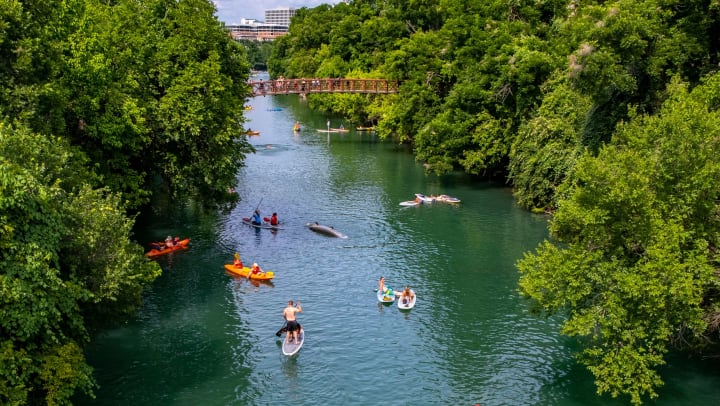Many people kayaking and paddle boarding