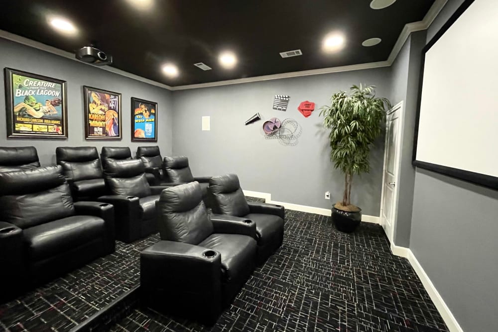 Enjoy apartments with a theater room at The Abbey at Energy Corridor in Houston, Texas