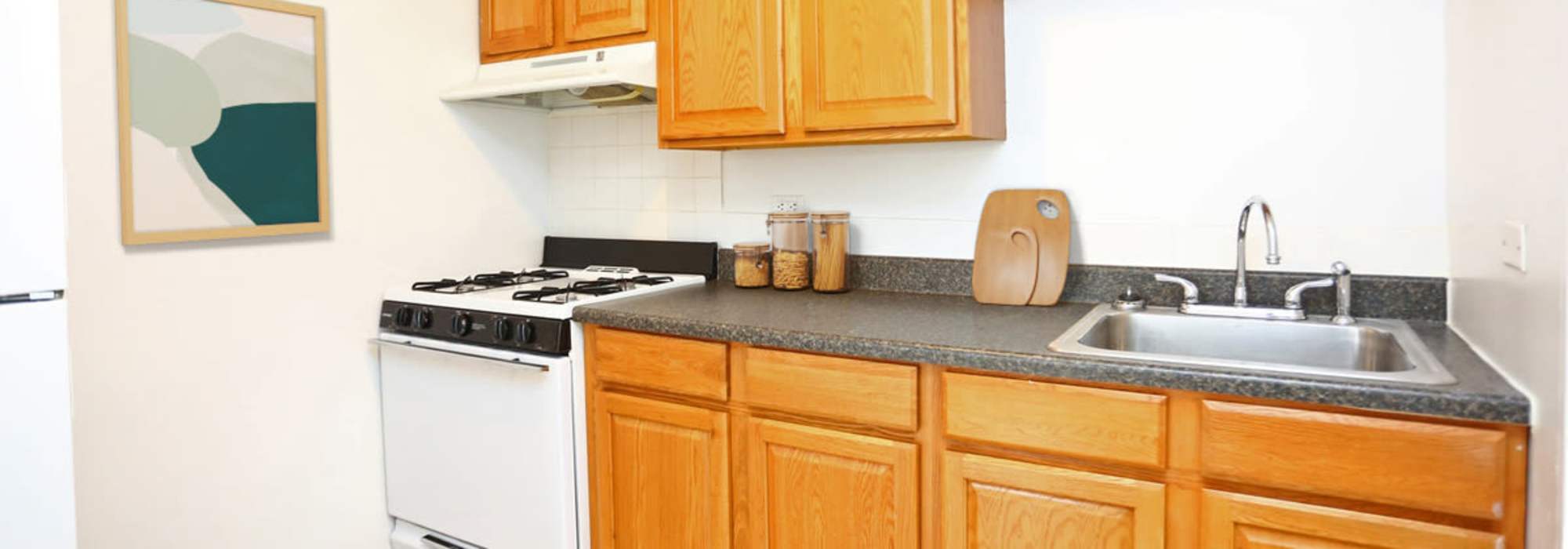 Amenities at Central Park in Park Forest, Illinois 