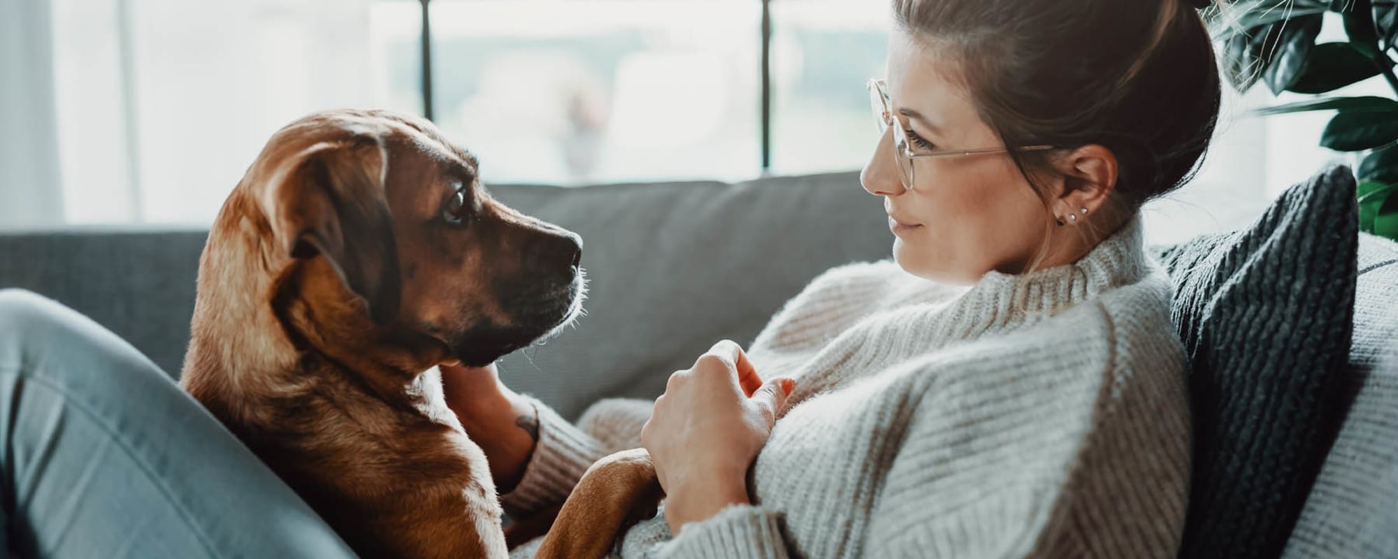 Pet-friendly apartments at 4600 Ross in Dallas, Texas