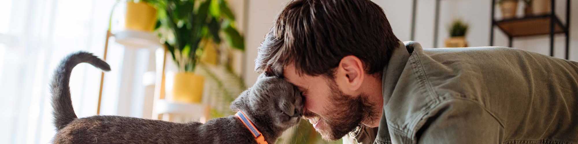 Pet Friendly | Flats At Sam Lane in Ringgold, Georgia  