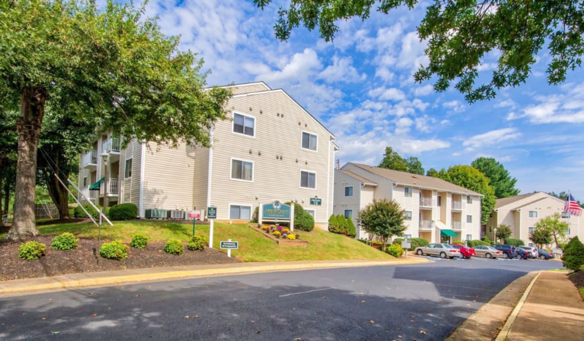street at Arbor Crest Apartments in Charlottesville, Virginia