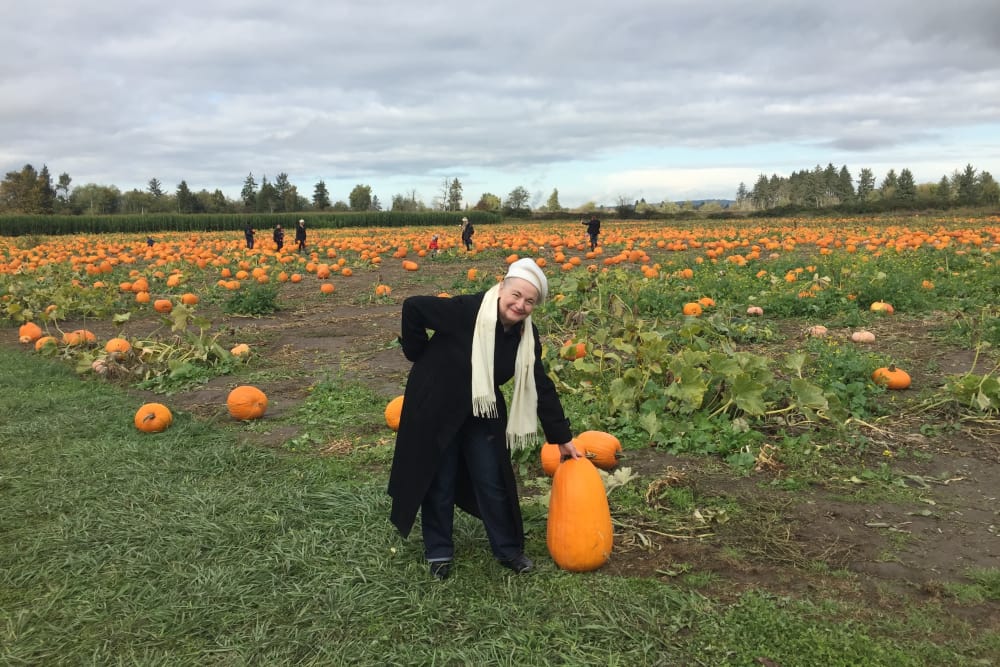 Enjoying the pumpkin patch near Merrill Gardens at Ballard in Seattle, Washington. 