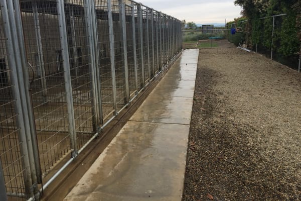 Outdoor dog kennels at University Pet Resort in Merced, California