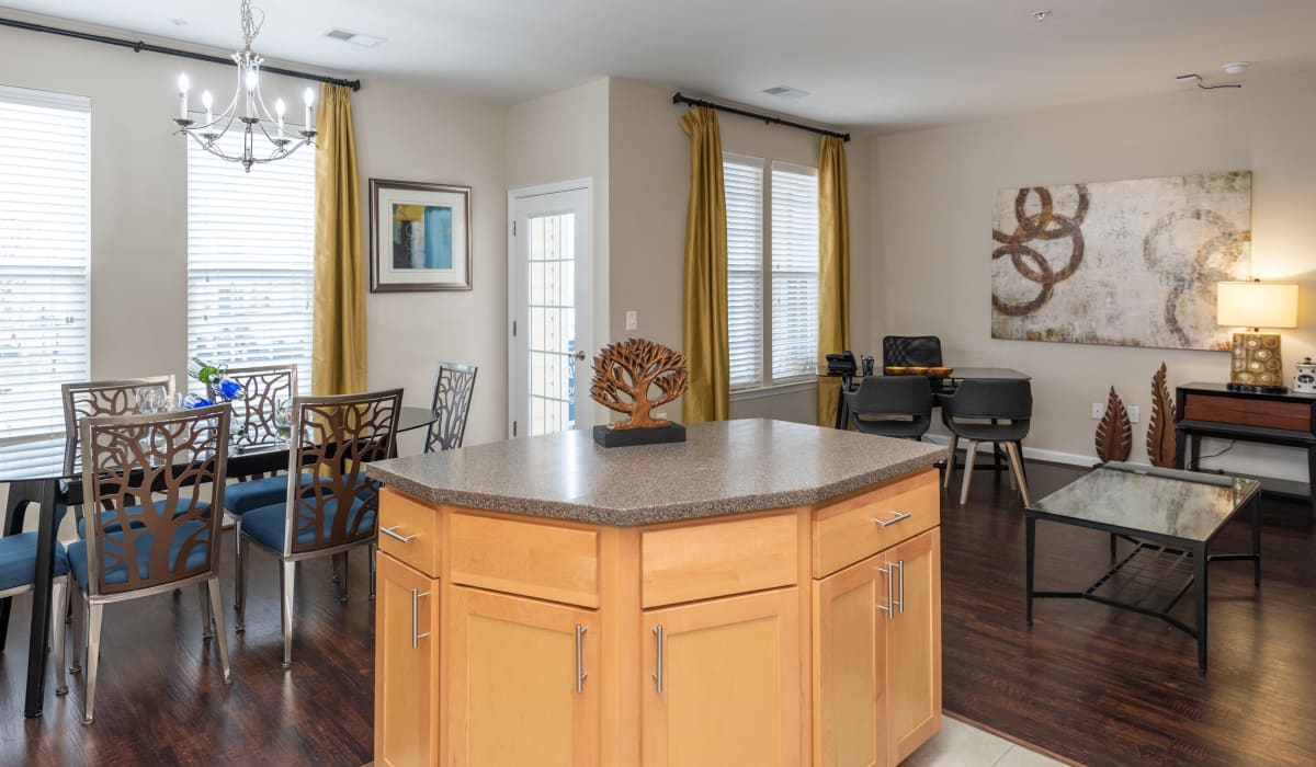 Spacious apartment at Commons on Potomac Square, Sterling, Virginia