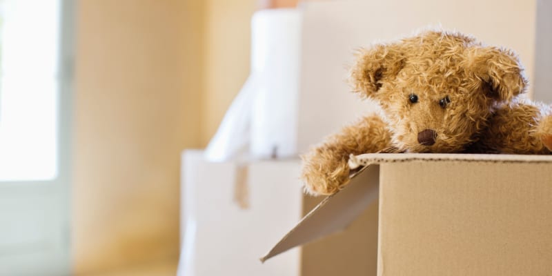 a teddy bear being unpacked from a box at Sandpiper Crescent in Virginia Beach, Virginia