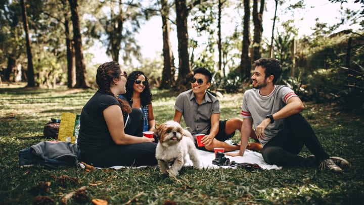 People enjoying a picnic at a park
