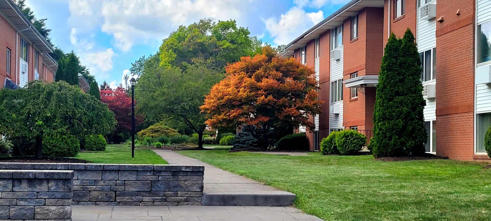 Apartments in Rochester New York