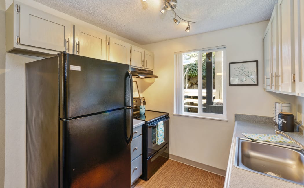 Black appliances and custom track lighting in model home at The Row