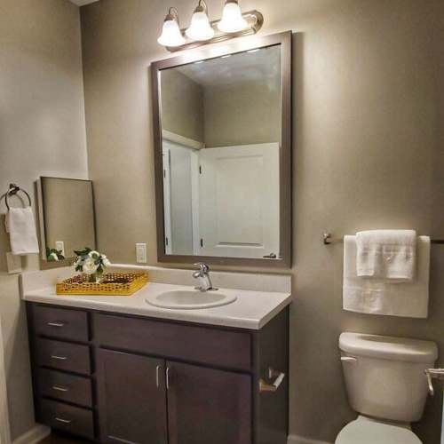 Modern bathroom with dark cabinetry, large mirror, and white countertops, featuring towels and decorative accents at The Mezzanine at Freedom in Charlotte, North Carolina