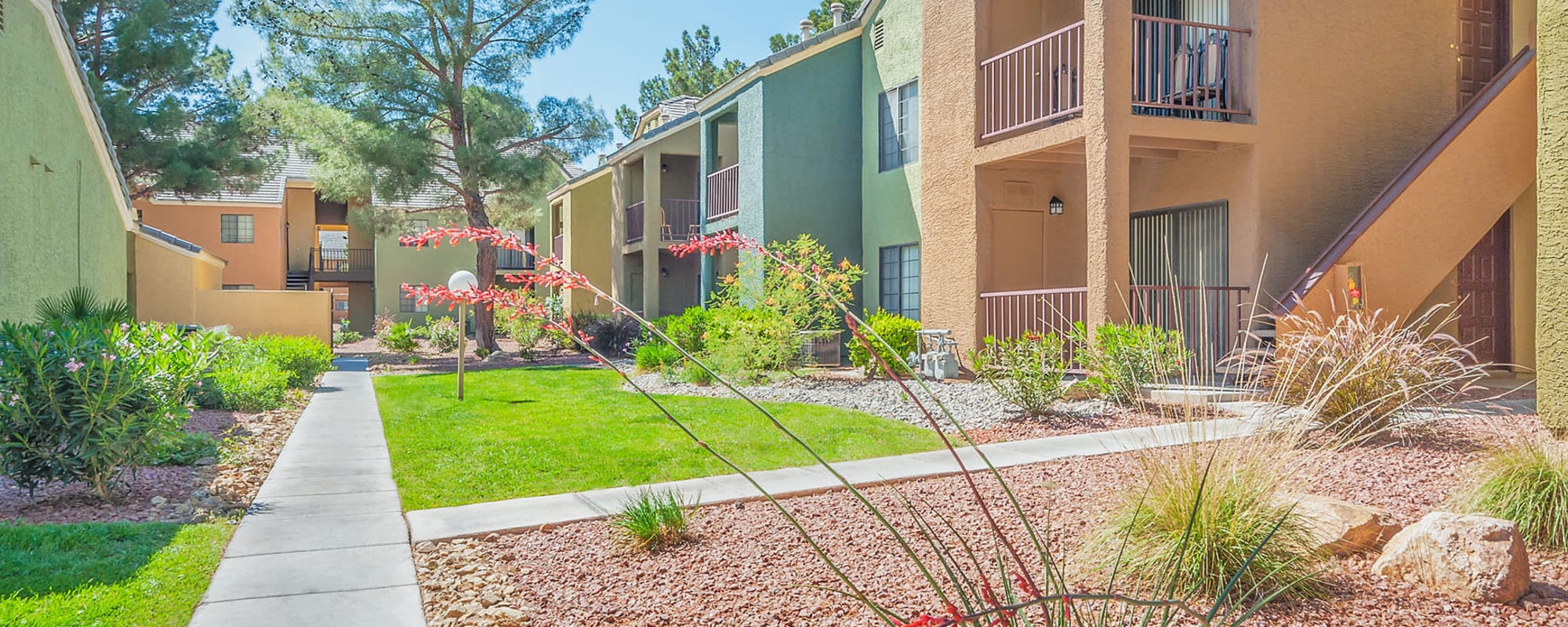 Pet-friendly apartments at Shelter Cove Apartments in Las Vegas, Nevada
