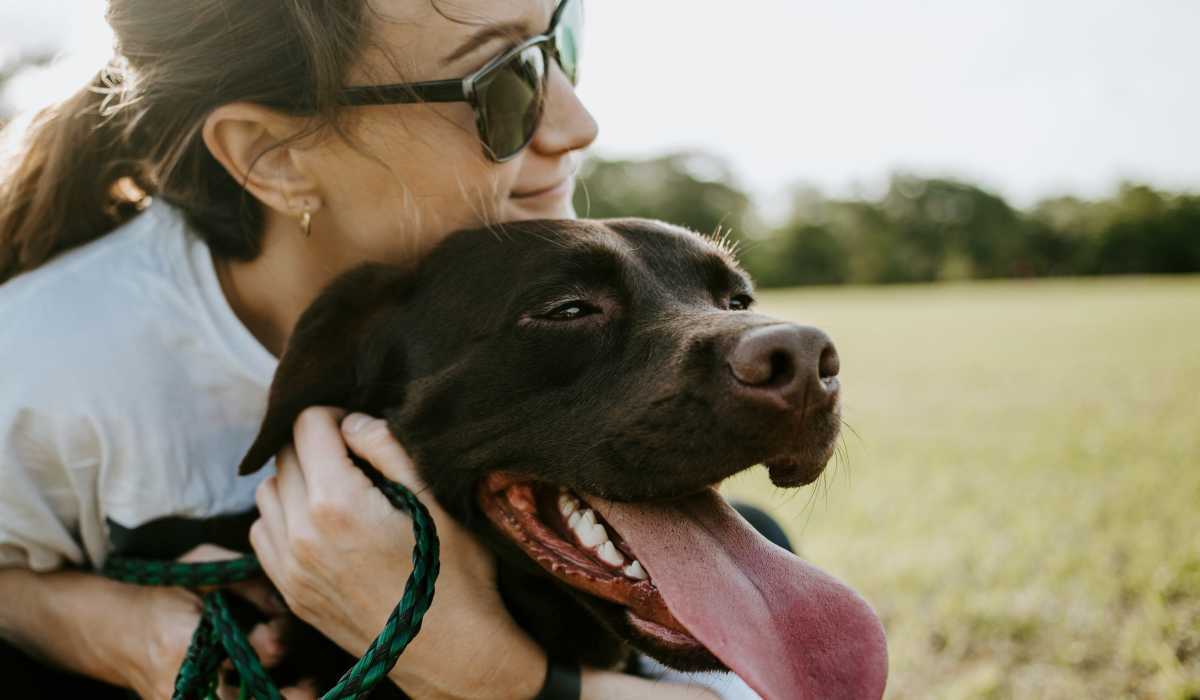 Woman with chocolate lab sticking his tongue out