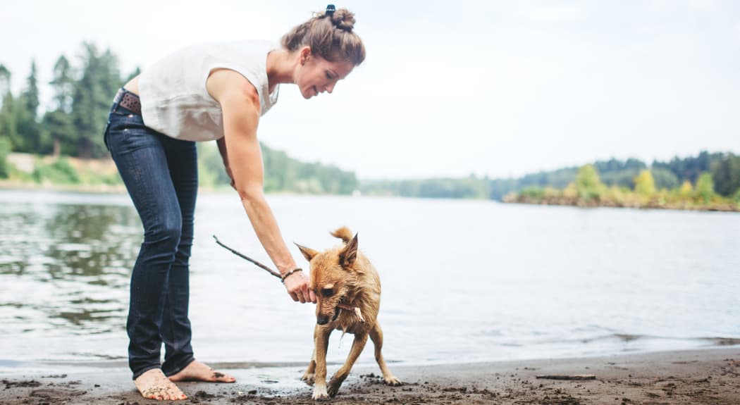 Resident and her dog playing near Brooks Landing in Modesto, CA