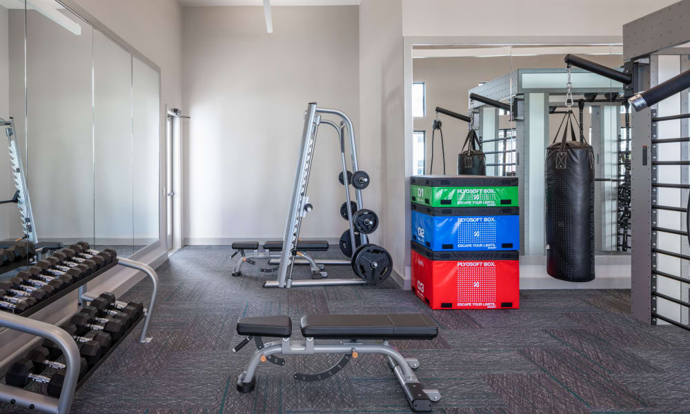 Community gym with free weights at Bellrock La Frontera in Austin, Texas