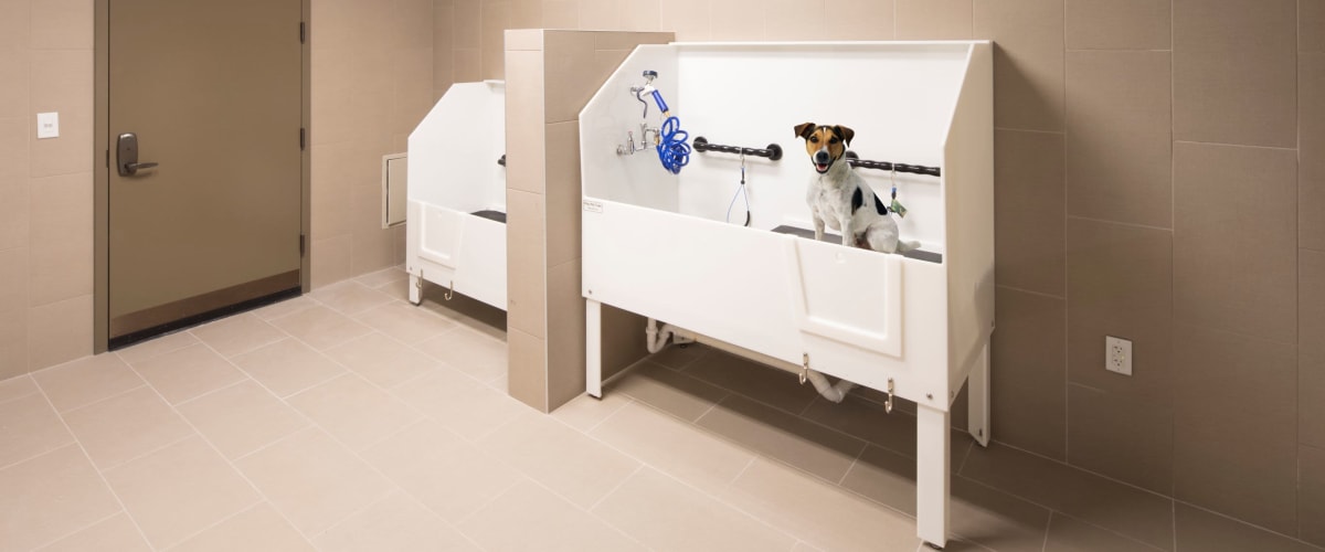 pet grooming at The Residences at Annapolis Junction in Annapolis Junction, Maryland