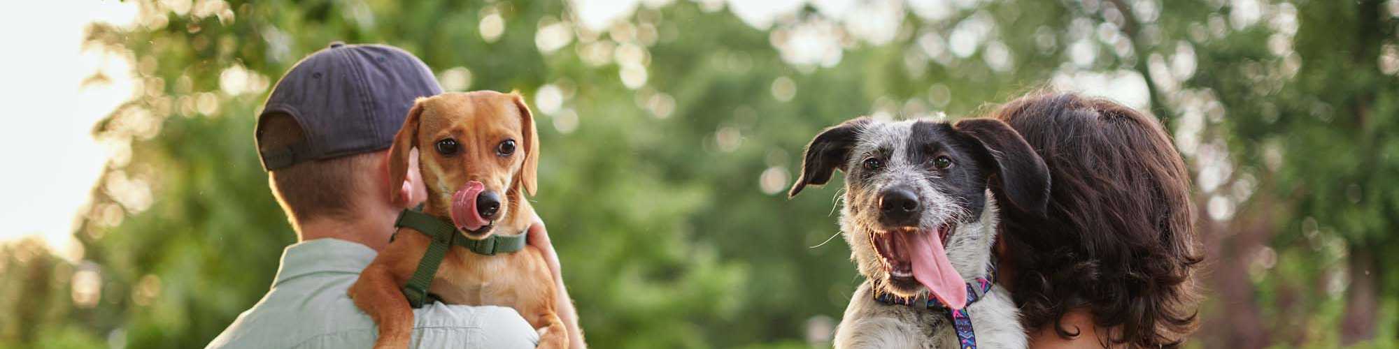 Pet Friendly | Canyon House in New Braunfels, Texas