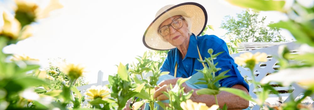 A resident working in a garden at a Stoney Brook community