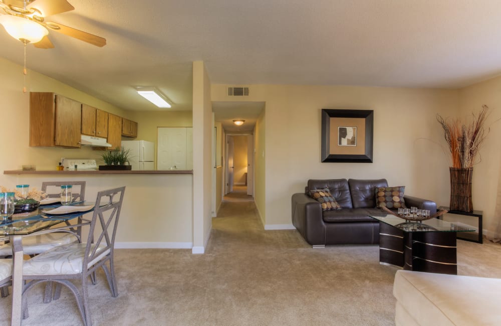 chesterfield apartments winston salem