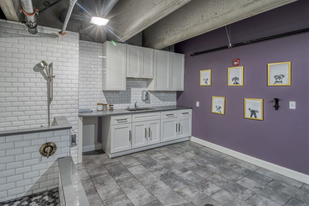 Dog Washing Room at Tribeca STL | Luxury Apartments in St. Louis, Missouri