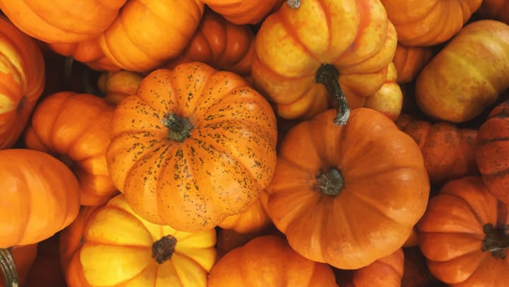 Pile o’ pumpkins